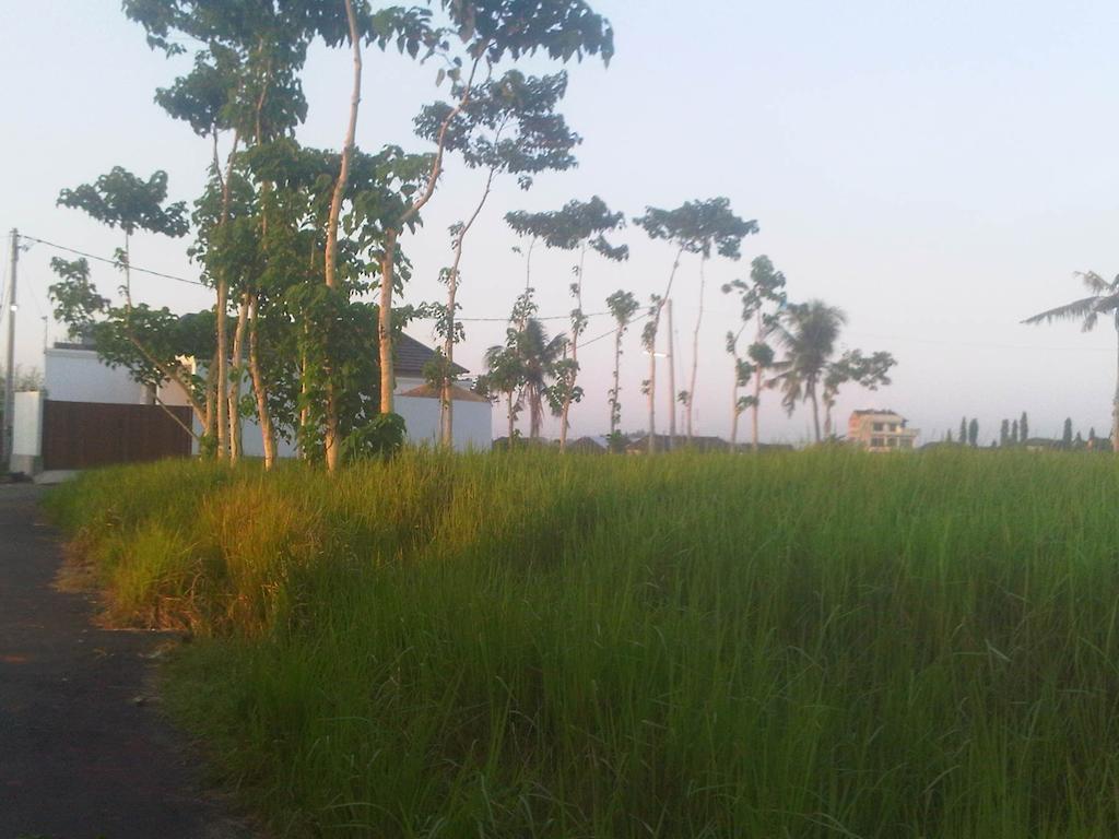 Villa Anandani Ubud Esterno foto